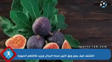 اكتشف كيف يعزز ورق التين صحة الرجال ويزيد طاقتهم الحيوية